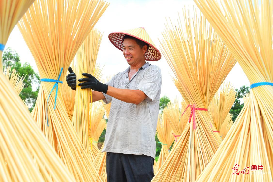 Jiangxi province, E China: bamboo industry boosting the green economy Jiangxi province, E China: bamboo industry boosting the green economy