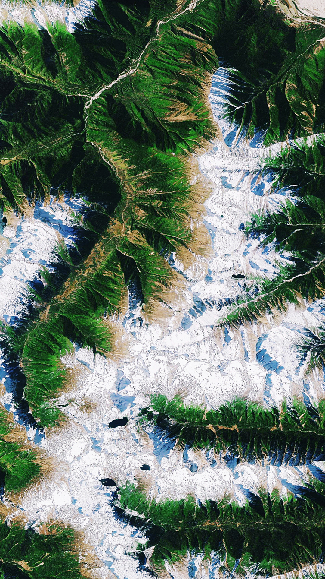 图为西藏自治区墨脱县局部卫星图,这是一个森林与冰雪相生相伴的