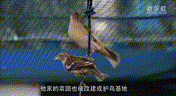 5 00_00_00-00_00_30.gif
